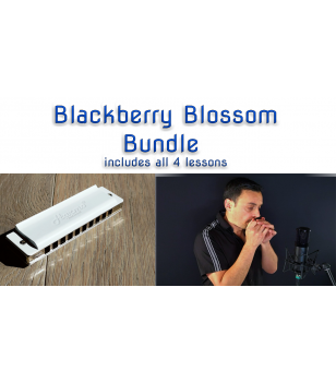 Blackberry Blossom Bundle Country  $39.90