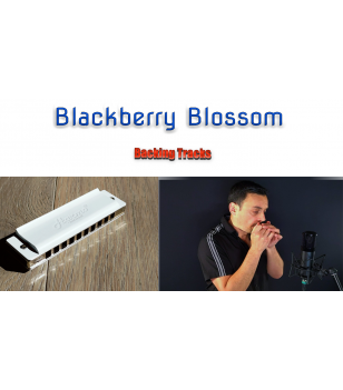 Blackberry Blossom backing tracks Backing Tracks  $2.99