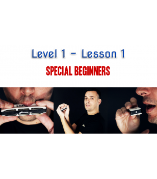 Harmonica School: Level 1 Lesson 1 - Unlimited Beginner  $24.90