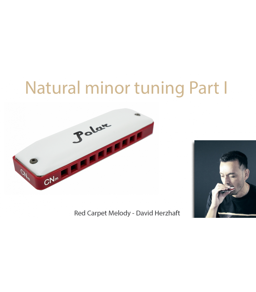 Natural minor harmonica: Red Carpet Part I Melody $14.90 Natural minor harmonica: Red Carpet Part I Melody $14.90