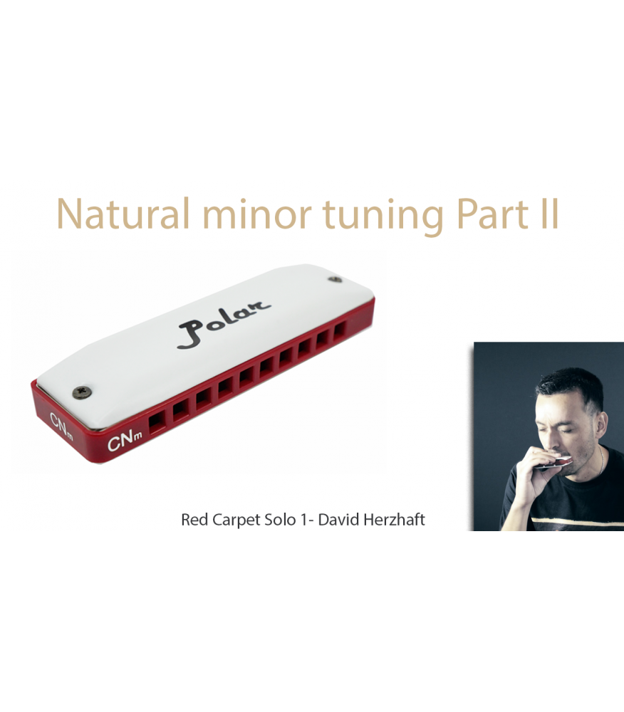 Natural minor harmonica - Red Carpet part II - Solo 1 Improvisation  $14.90