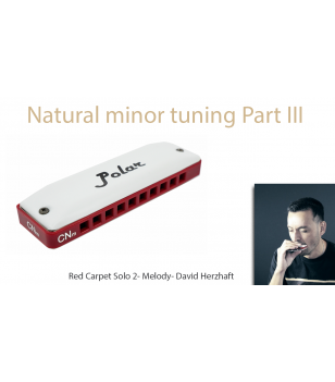 Natural minor harmonica - Red Carpet part III - Solo 2 + Melody Jazz  $14.90