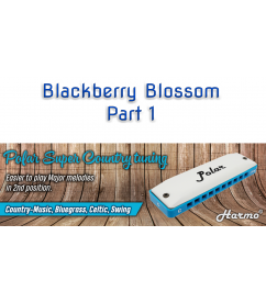 Blackberry Blossom Part 1 Country  $14.90